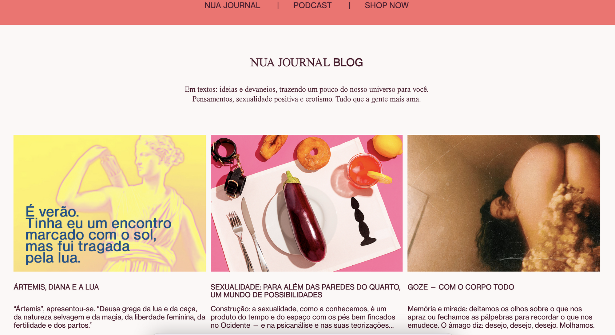 Nua Journal Blog, no site da loja erótica de sextoys Nuasis.