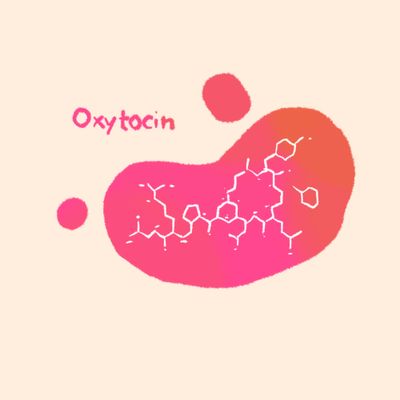 O que é ocitocina, o hormônio do amor?